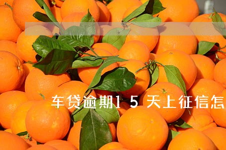 车贷逾期15天上征信怎么解决 车贷逾期15天上征信怎么解决