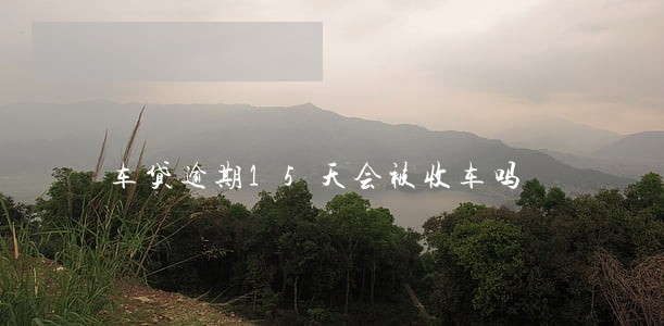 车贷逾期15天会被收车吗 车贷逾期15天会被收车吗
