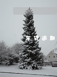 车贷逾期15天发催收函 车贷逾期15天发催收函