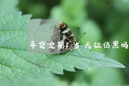 车贷逾期15天征信黑吗 车贷逾期15天征信黑吗