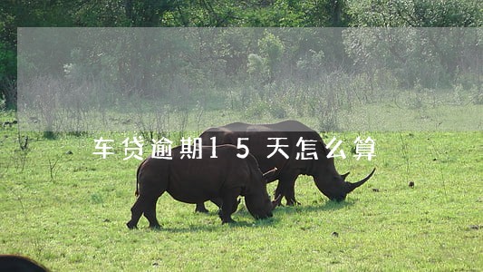 车贷逾期15天怎么算 车贷逾期15天怎么算