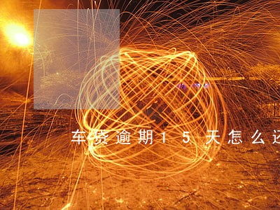 车贷逾期15天怎么还上 车贷逾期15天怎么还上