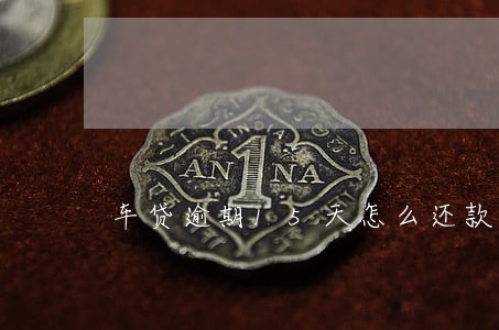 车贷逾期15天怎么还款 车贷逾期15天怎么还款