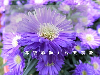 车贷逾期15天罚款 车贷逾期15天罚款