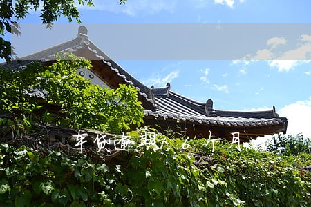 车贷逾期16个月 车贷逾期16个月