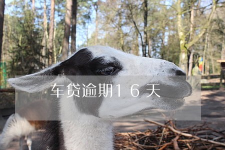车贷逾期16天 车贷逾期16天