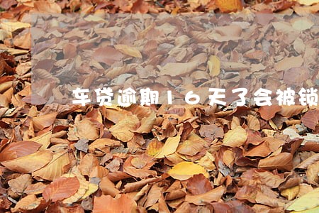 车贷逾期16天了会被锁车吗 车贷逾期16天了会被锁车吗