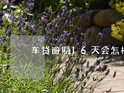 车贷逾期16天会怎样办 车贷逾期16天会怎样办