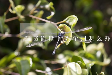 车贷逾期17个月怎么办 车贷逾期17个月怎么办