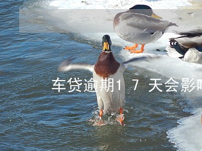 车贷逾期17天会影响中信吗