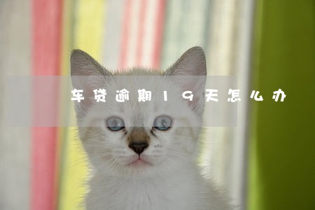 车贷逾期19天怎么办 车贷逾期19天怎么办