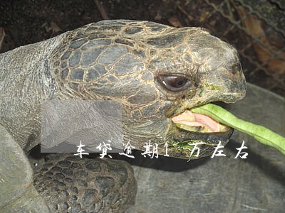 车贷逾期1万左右 车贷逾期1万左右
