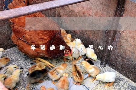 车贷逾期1万怎么办 车贷逾期1万怎么办