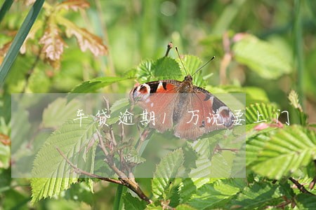 车贷逾期1万说要上门 车贷逾期1万说要上门