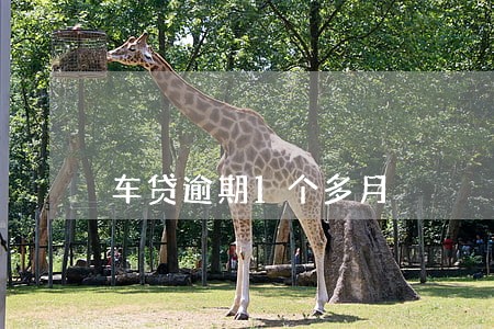 车贷逾期1个多月 车贷逾期1个多月