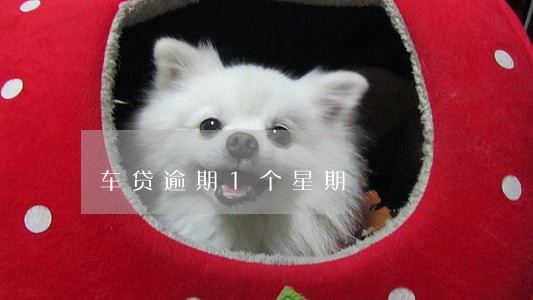 车贷逾期1个星期