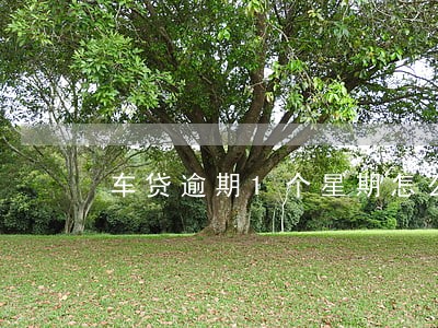 车贷逾期1个星期怎么办 车贷逾期1个星期怎么办