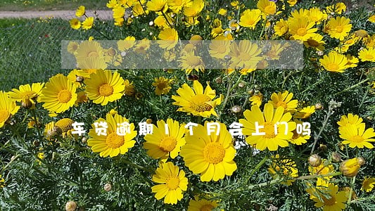 车贷逾期1个月会上门吗 车贷逾期1个月会上门吗