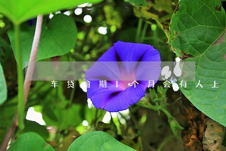 车贷逾期1个月会有人上门吗 车贷逾期1个月会有人上门吗