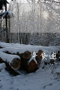 车贷逾期1个礼拜 车贷逾期1个礼拜