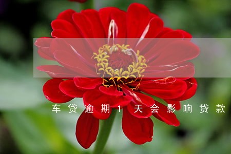 车贷逾期1天会影响贷款吗