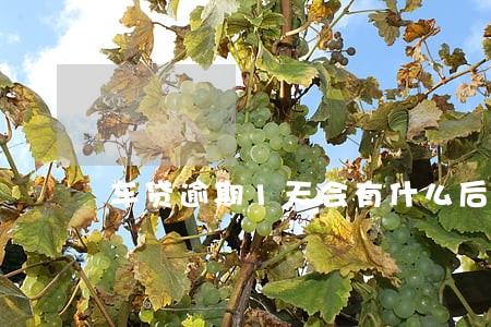 车贷逾期1天会有什么后果 车贷逾期1天会有什么后果