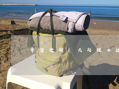 车贷逾期1天处理办法 车贷逾期1天处理办法
