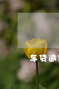 车贷逾期1天怎么办 车贷逾期1天怎么办