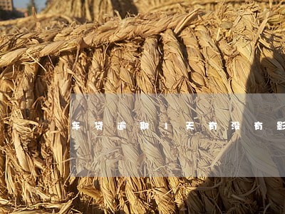 车贷逾期1天有没有影响 车贷逾期1天有没有影响