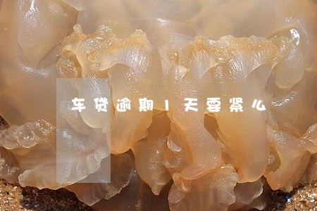 车贷逾期1天要紧么 车贷逾期1天要紧么