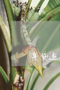 车贷逾期1天车被偷偷开走 车贷逾期1天车被偷偷开走