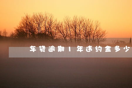 车贷逾期1年违约金多少