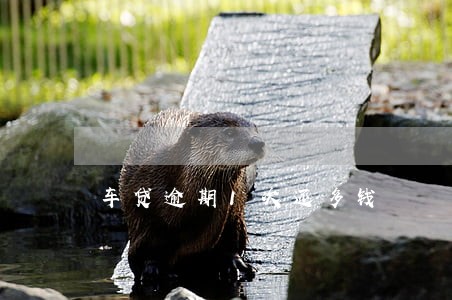 车贷逾期1次还多钱 车贷逾期1次还多钱