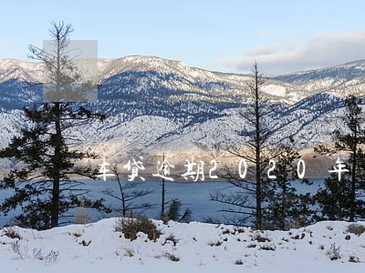 车贷逾期2020年 车贷逾期2020年