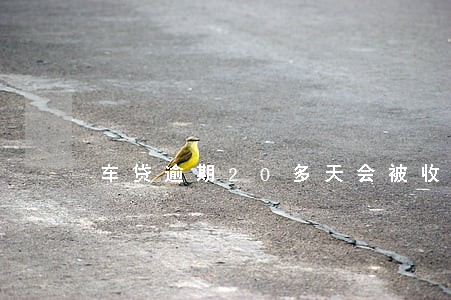 车贷逾期20多天会被收车吗 车贷逾期20多天会被收车吗