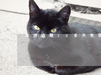 车贷逾期20多天有事吗 车贷逾期20多天有事吗