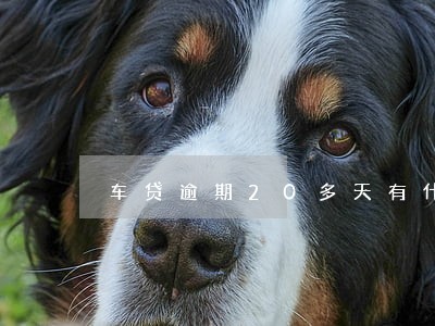 车贷逾期20多天有什么事吗 车贷逾期20多天有什么事吗