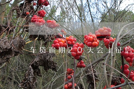 车贷逾期20天会上征信吗 车贷逾期20天会上征信吗