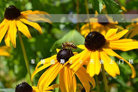 车贷逾期20天会上门核实吗 车贷逾期20天会上门核实吗