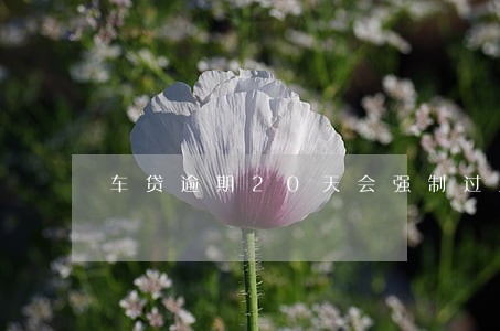 车贷逾期20天会强制过户吗 车贷逾期20天会强制过户吗