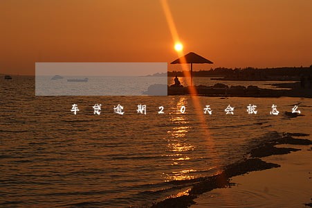 车贷逾期20天会被怎么样 车贷逾期20天会被怎么样