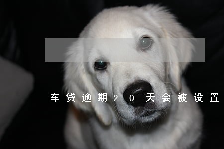 车贷逾期20天会被设置黑名单吗 车贷逾期20天会被设置黑名单吗