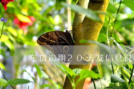 车贷逾期20天发信息说要结清 车贷逾期20天发信息说要结清