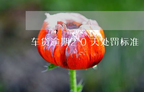 车贷逾期20天处罚标准 车贷逾期20天处罚标准