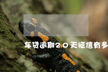 车贷逾期20天征信有多大的影响