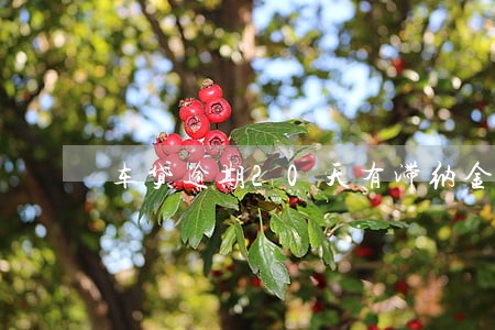 车贷逾期20天有滞纳金吗 车贷逾期20天有滞纳金吗