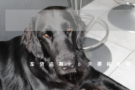车贷逾期20天要拖车吗 车贷逾期20天要拖车吗