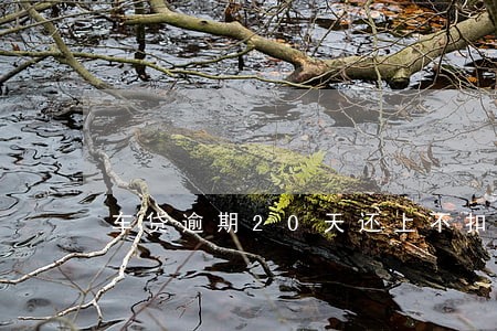 车贷逾期20天还上不扣款 车贷逾期20天还上不扣款