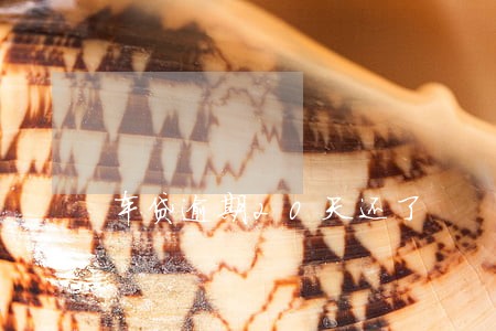 车贷逾期20天还了 车贷逾期20天还了