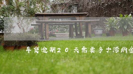 车贷逾期20天需要多少滞纳金 车贷逾期20天需要多少滞纳金